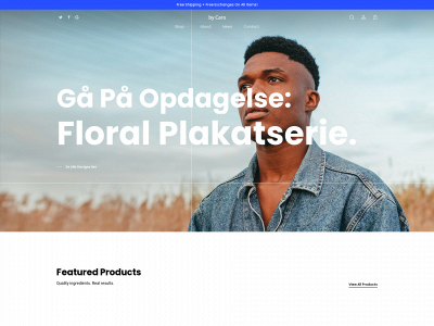 bycaro.dk snapshot