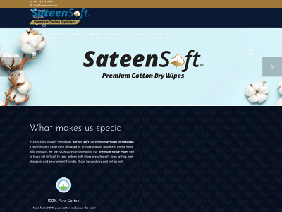 sateensoft.com snapshot