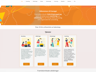 sanega.se snapshot