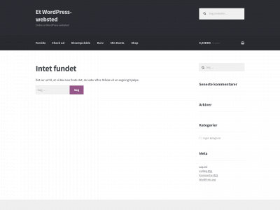 decodingminds.com snapshot