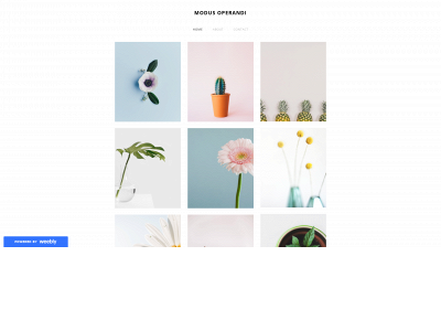www.eleshamccarthy.com snapshot
