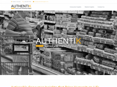 authentikinsights.com snapshot