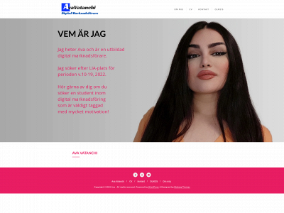 avavatanchi.com snapshot