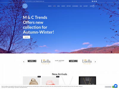 mctrends.co.uk snapshot