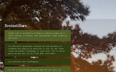 breinstillers.nl snapshot
