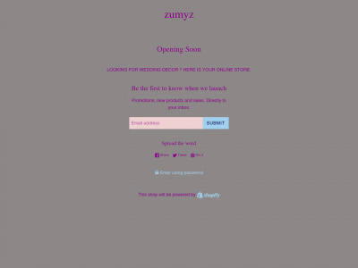 zumyz.com snapshot