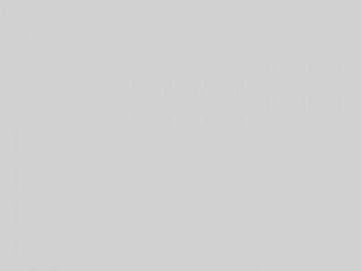 moldtechusa.com snapshot