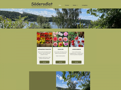 soderodlat.se snapshot