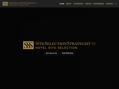 siteselectionstrategist.com snapshot