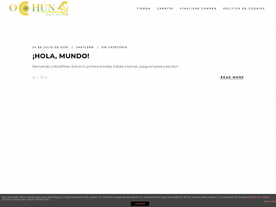ochunbeautysalon.com snapshot