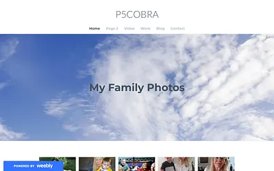 p5cobra.weebly.com snapshot