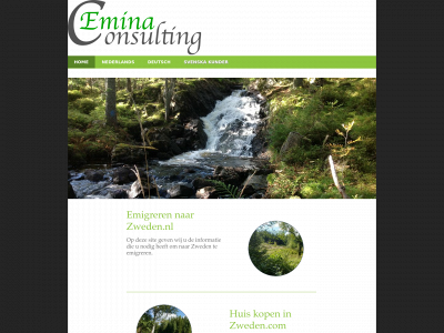 eminaconsulting.com snapshot