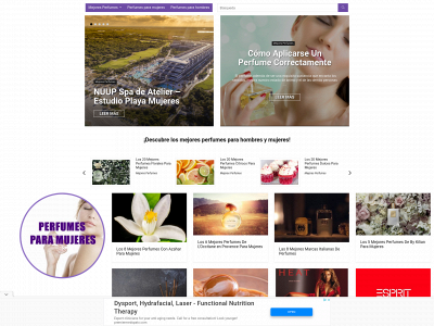 tusmejoresperfumes.com snapshot