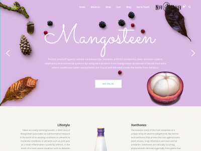mangosteensa.co.za snapshot