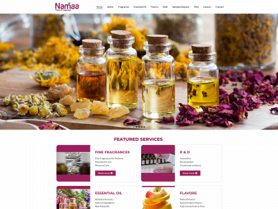 namaa-ff.com snapshot