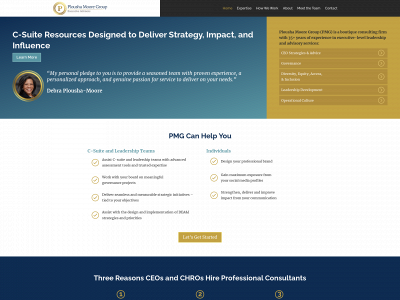 ploushamooregroup.com snapshot