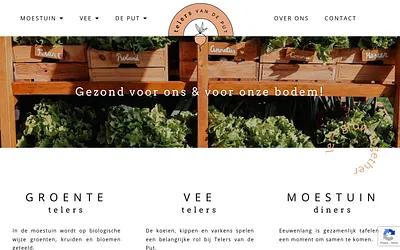 telersvandeput.nl snapshot