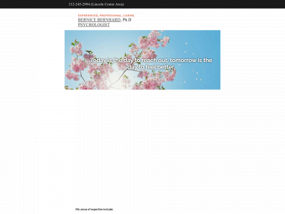 bernicebernhardpsychologist.com snapshot