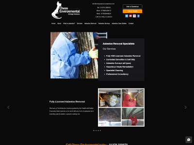 chessenvironmental.com snapshot