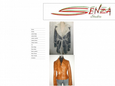 senzalimited.com snapshot