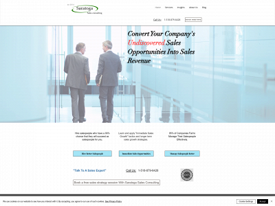 www.saratogasalesconsulting.com snapshot