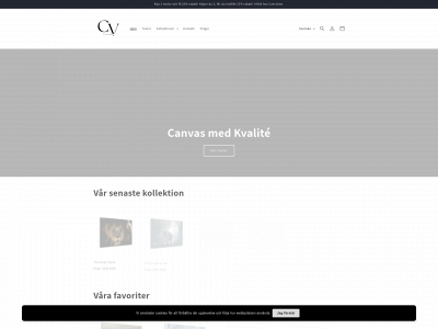 canvision.se snapshot