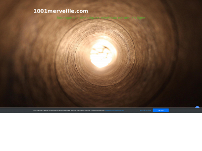 www.1001merveille.com snapshot