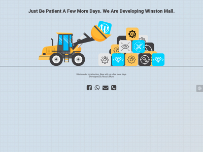 thewinstonmall.com snapshot