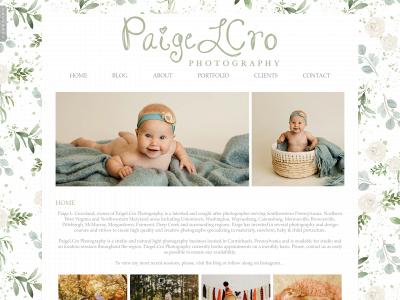 paigelcrophotography.com snapshot