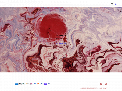 sonder-store.com snapshot