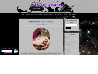 3catsandacauldron.com snapshot