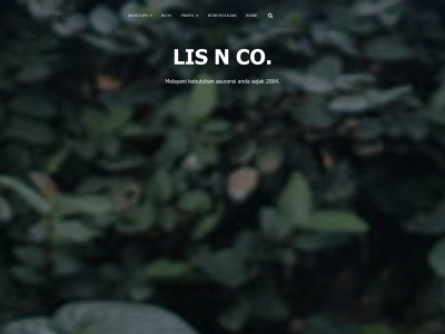 lisnco.com snapshot