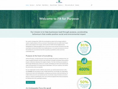 fitforpurposeconsulting.com snapshot