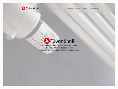 fuermaennli.ch snapshot