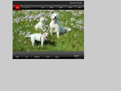 goldenogparson.no snapshot