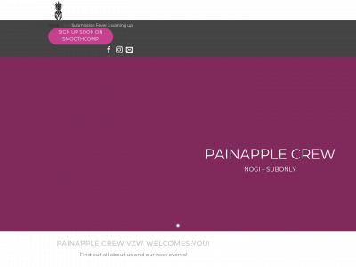 painapplecrew.com snapshot