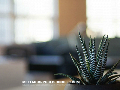 metlmorrpublishingllc.com snapshot