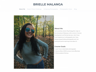 briellemalanga.weebly.com snapshot