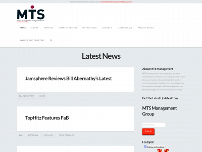 mtsmanagementgroup.com snapshot