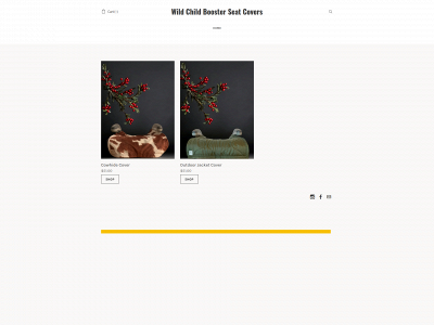 www.wildchildboosterseats.com snapshot