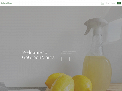 gogreenmaidspro.com snapshot
