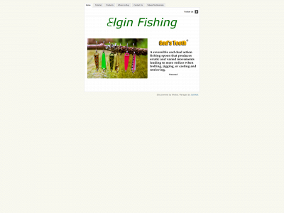 elginfishing.com snapshot
