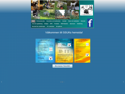 ssuk.se snapshot