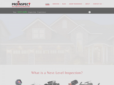 proinspectexas.com snapshot