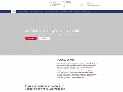 www.academialuisaragones.es snapshot