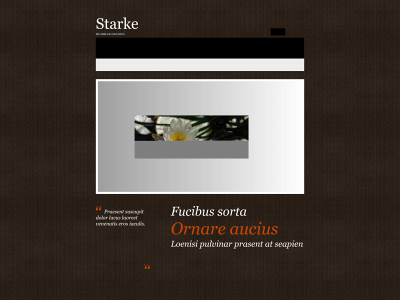 starke.se snapshot