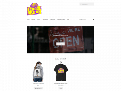 schoolbreak.shop snapshot