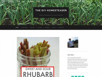 thediyhomesteader.com snapshot