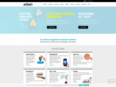 egain.com snapshot