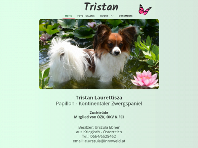 papillon-tristan.at snapshot
